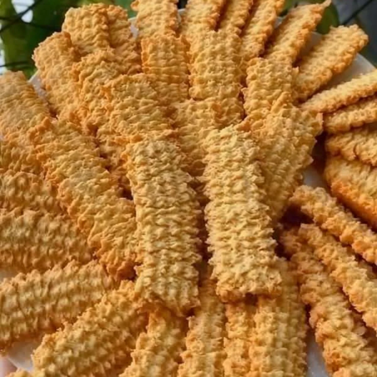 بسكوت نشادر فانيليا